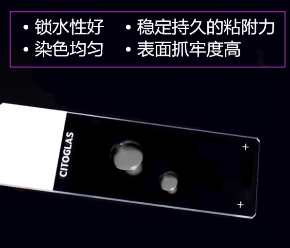 �������ͼ