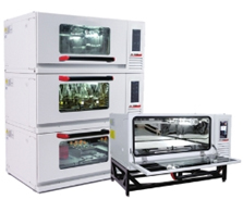 IS-6T����ʽ��������