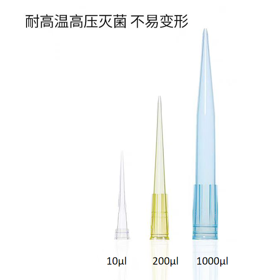 10ul/200ul/1000ul��Һ����ͷ