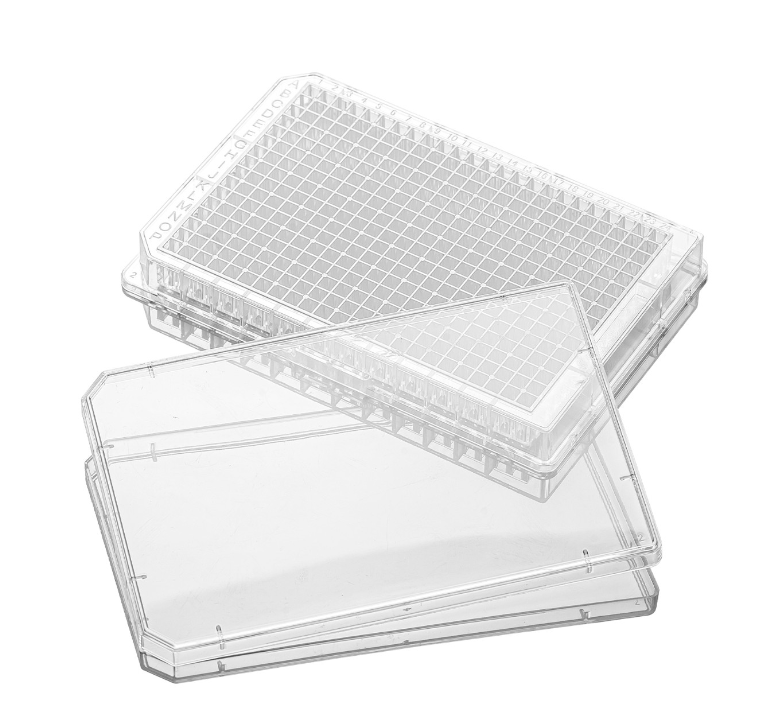 384�װ�͸������