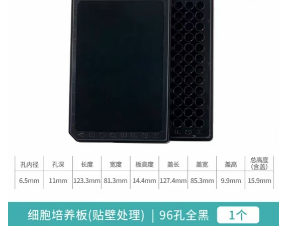 �����ڣ�96�װ�ȫ�ڴ���